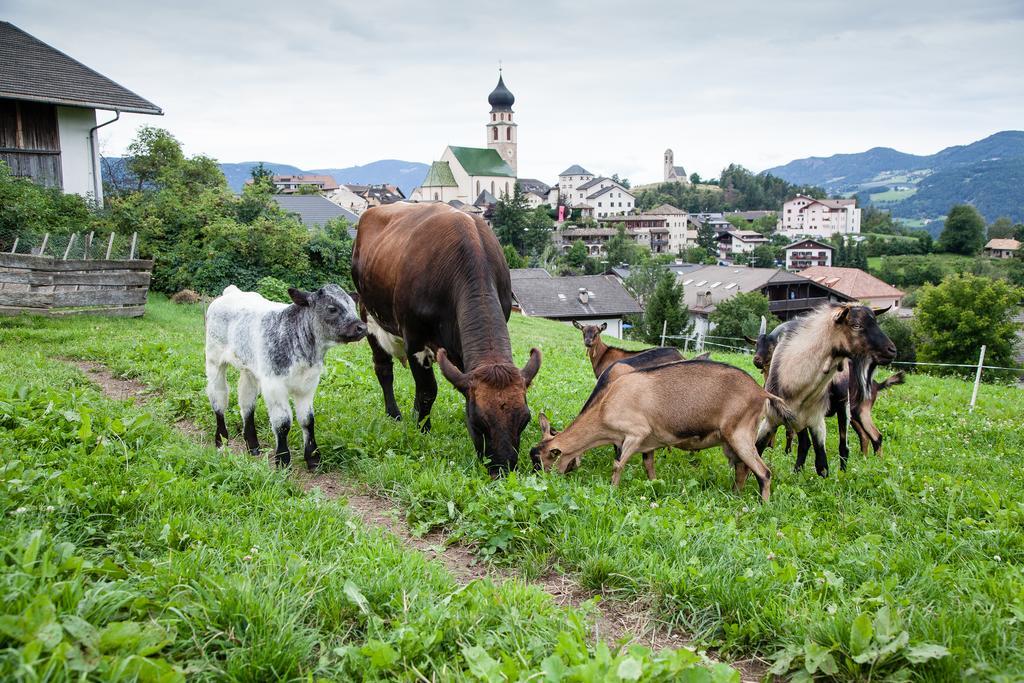 Merlhof Fiè Buitenkant foto
